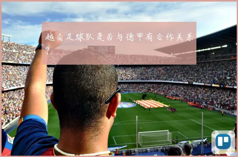 越南足球队是否与德甲有合作关系?