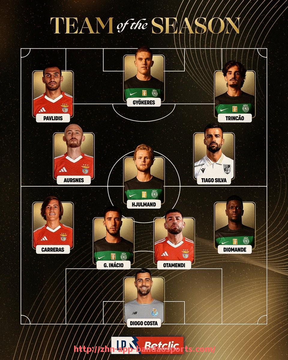 半岛体育app-德甲降级球队排名与未来展望